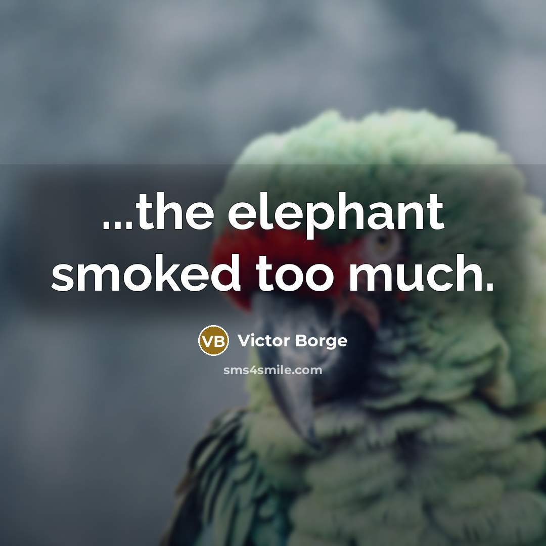 “...the elephant smoked too much.” quote by Victor Borge