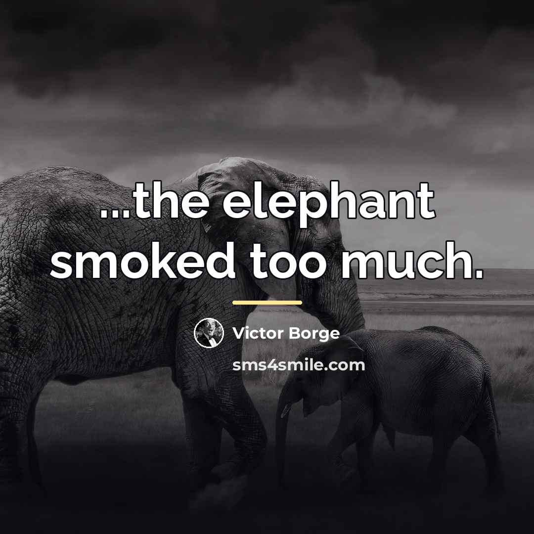 “...the elephant smoked too much.…” quote by Victor Borge