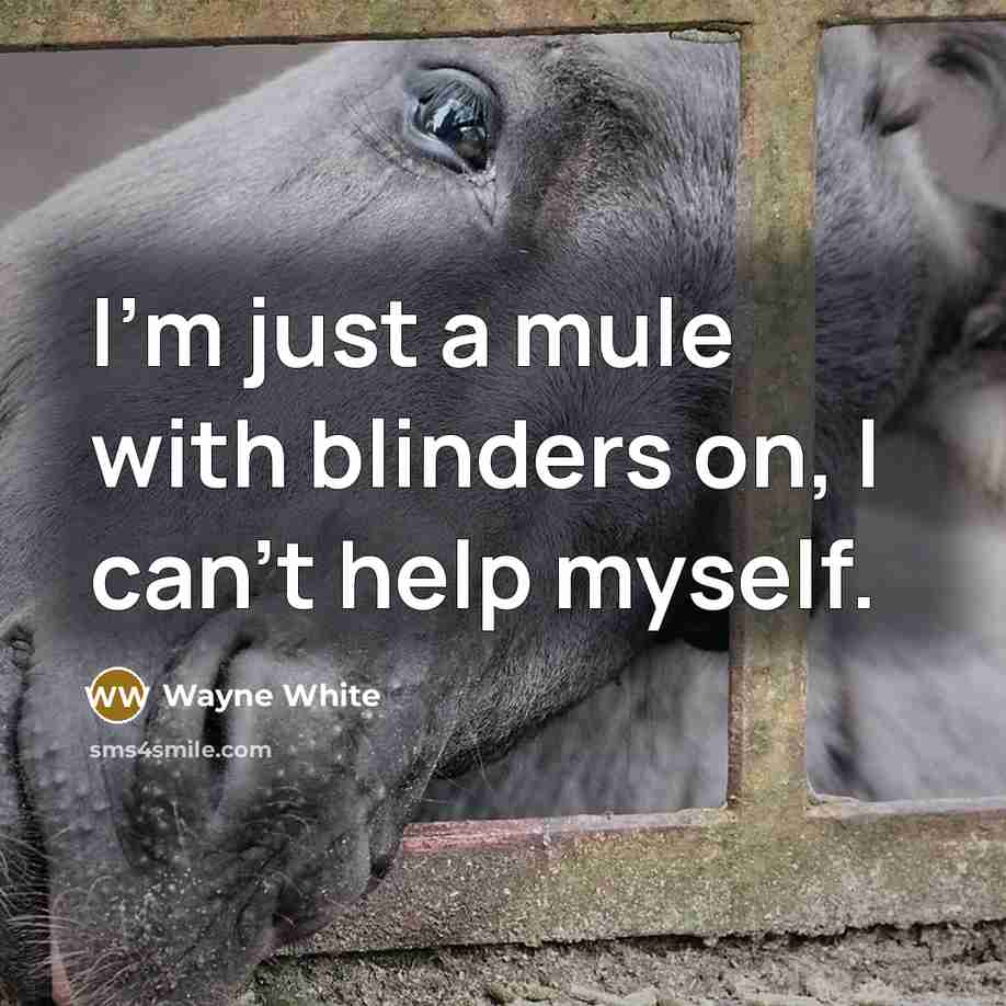 “I'm just a mule with blinders on, I can't help…” quote by Wayne White