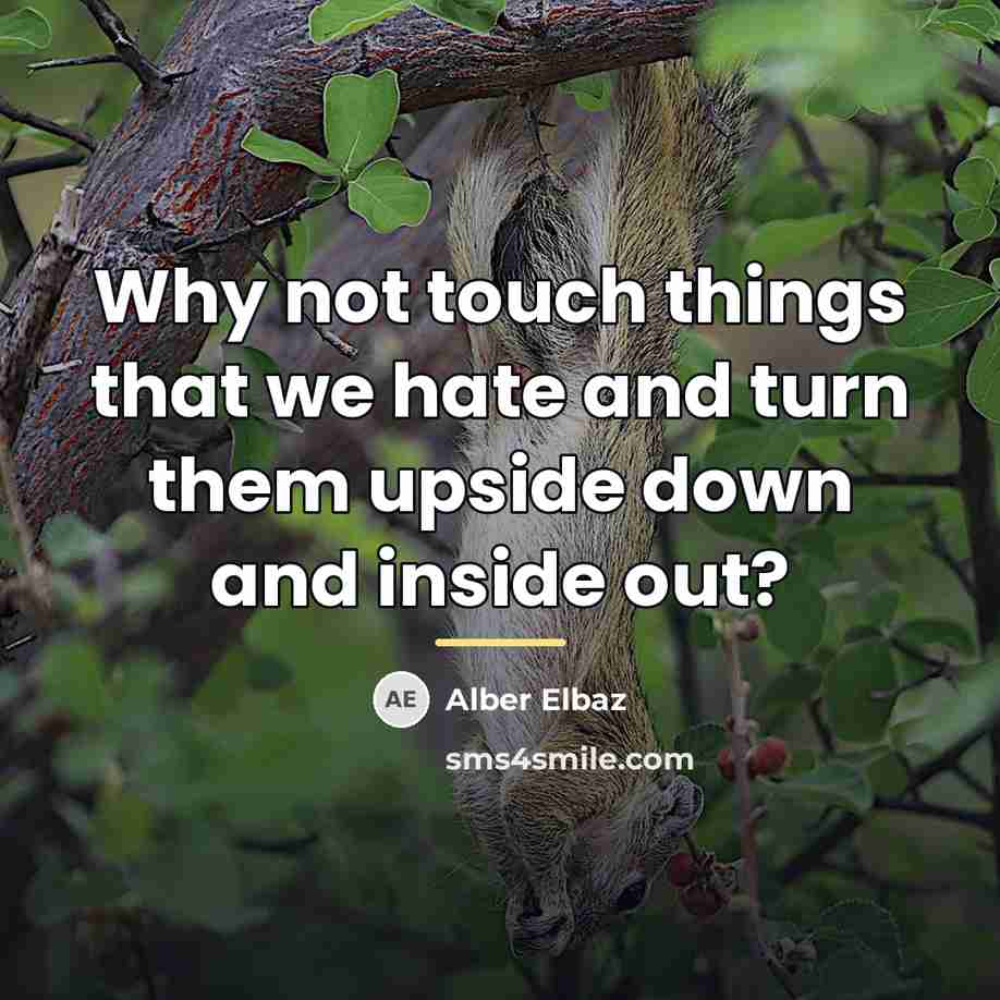 “Why not touch things that we hate and turn them…” quote by Alber Elbaz