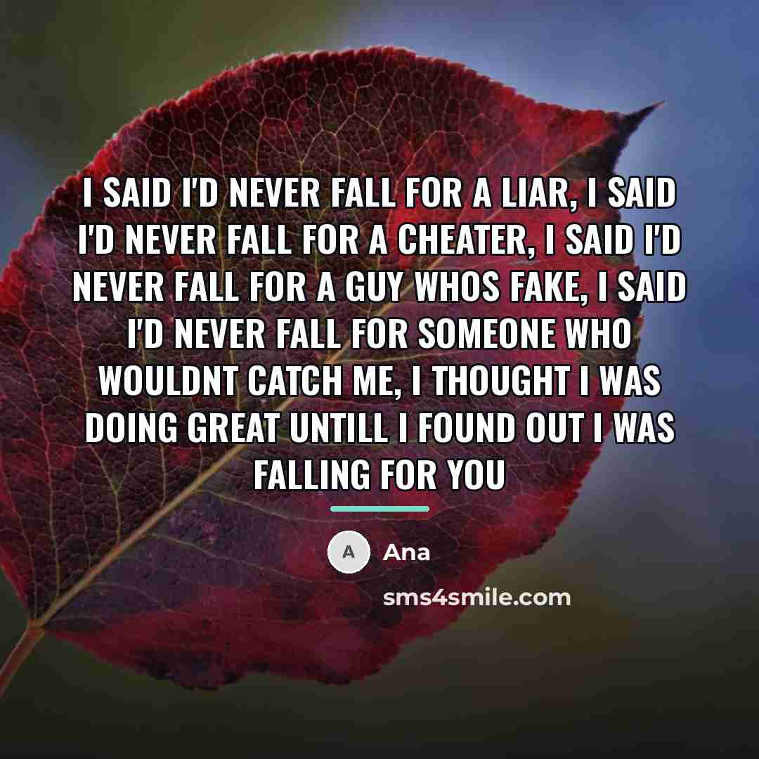 “I said I'd never fall for a liar, I said…” quote by Ana