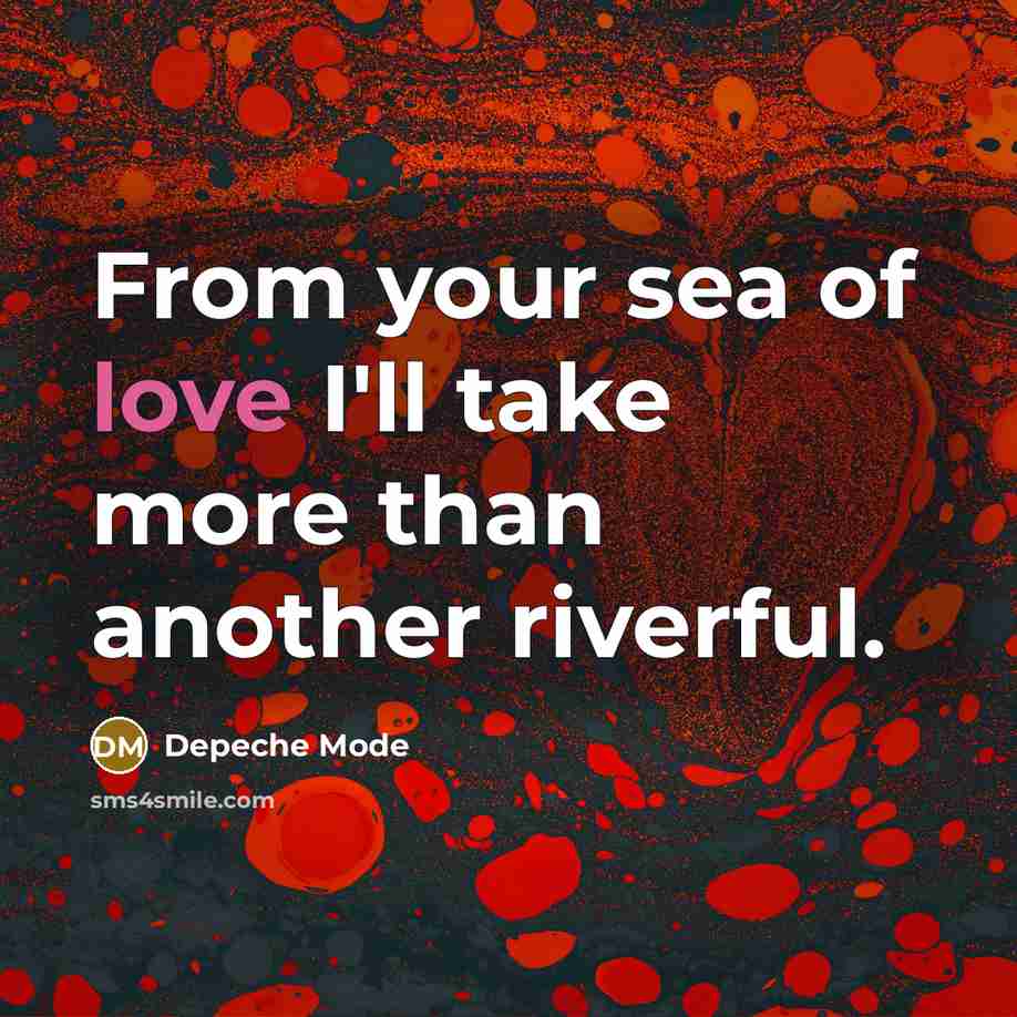 “From your sea of love I'll take more than another…” quote by Depeche Mode