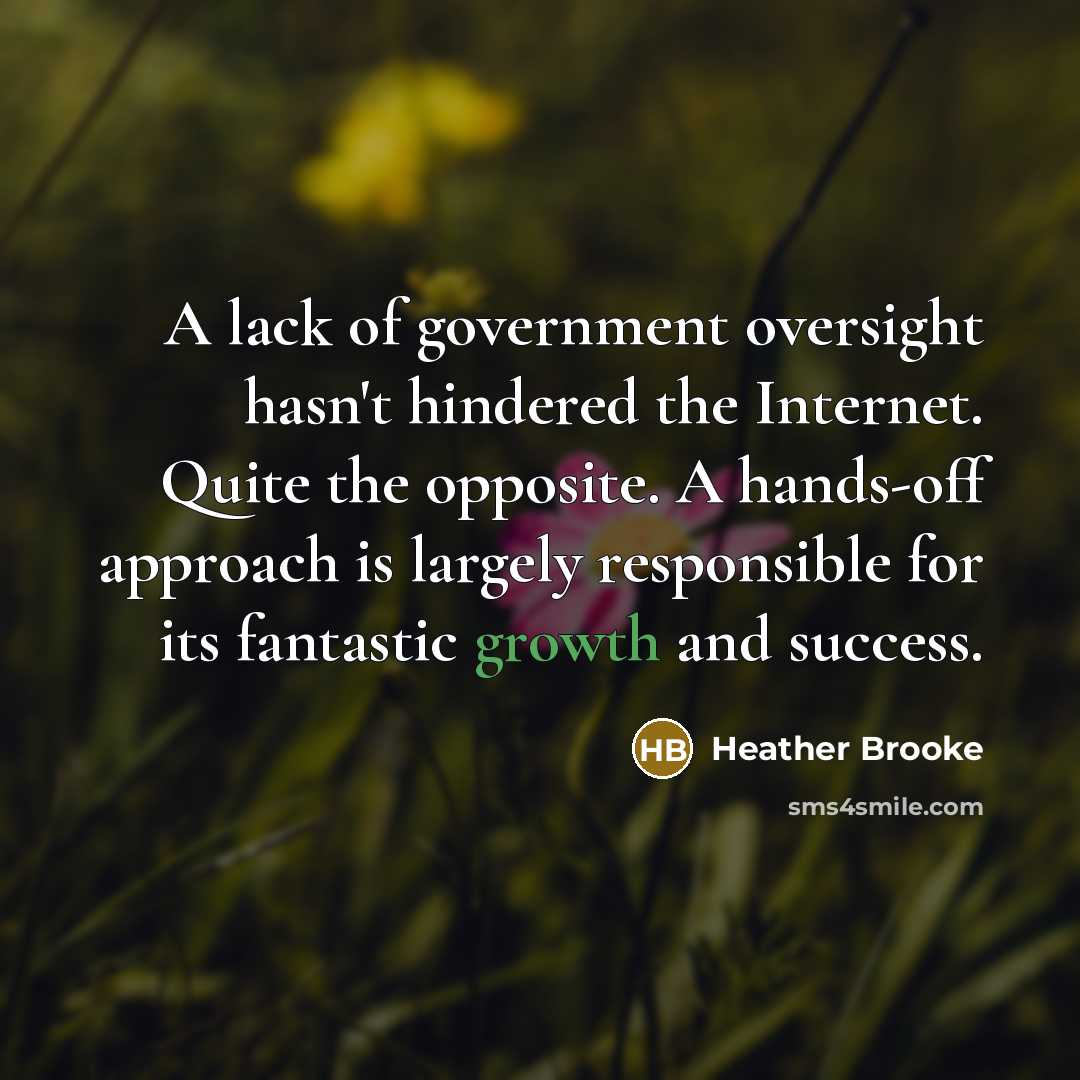 “A lack of government oversight hasn't hindered the Internet. Quite…” quote by Heather Brooke