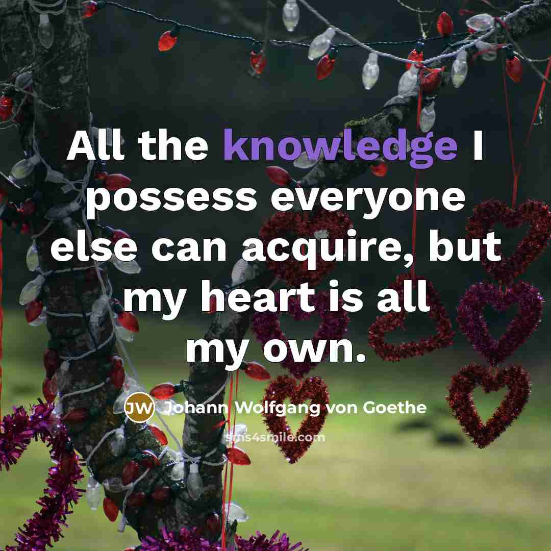 “All the knowledge I possess everyone else can acquire, but…” quote by Johann Wolfgang von Goethe