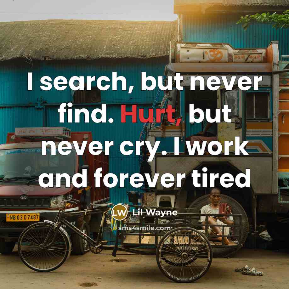 “I search, but never find. Hurt, but never cry. I…” quote by Lil Wayne