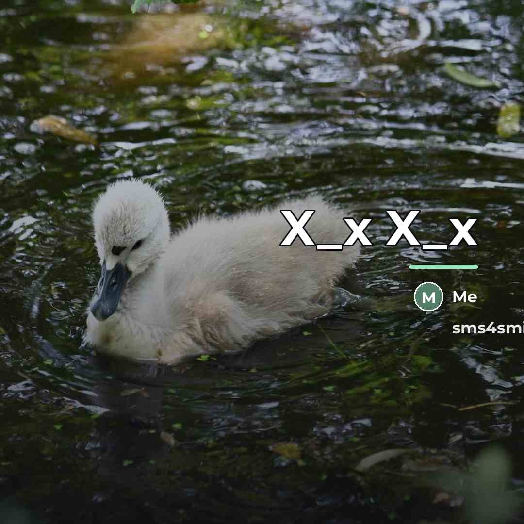 “X_x X_x…” quote by Me