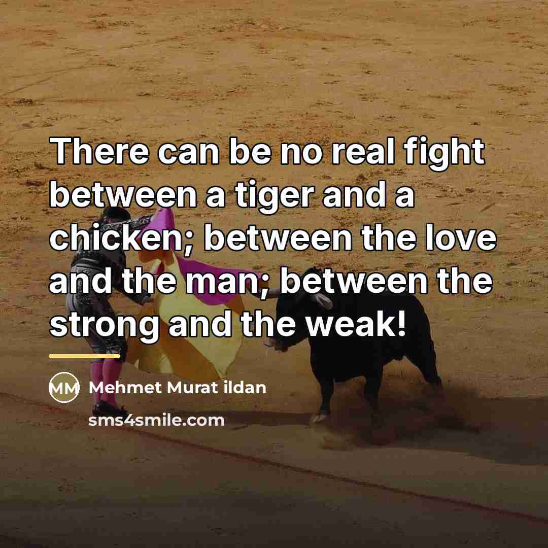 “There can be no real fight between a tiger and…” quote by Mehmet Murat Ildan