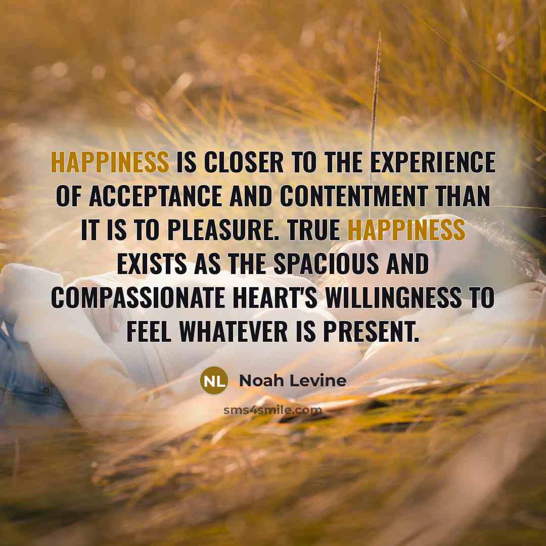 “Happiness is closer to the experience of acceptance and contentment…” quote by Noah Levine