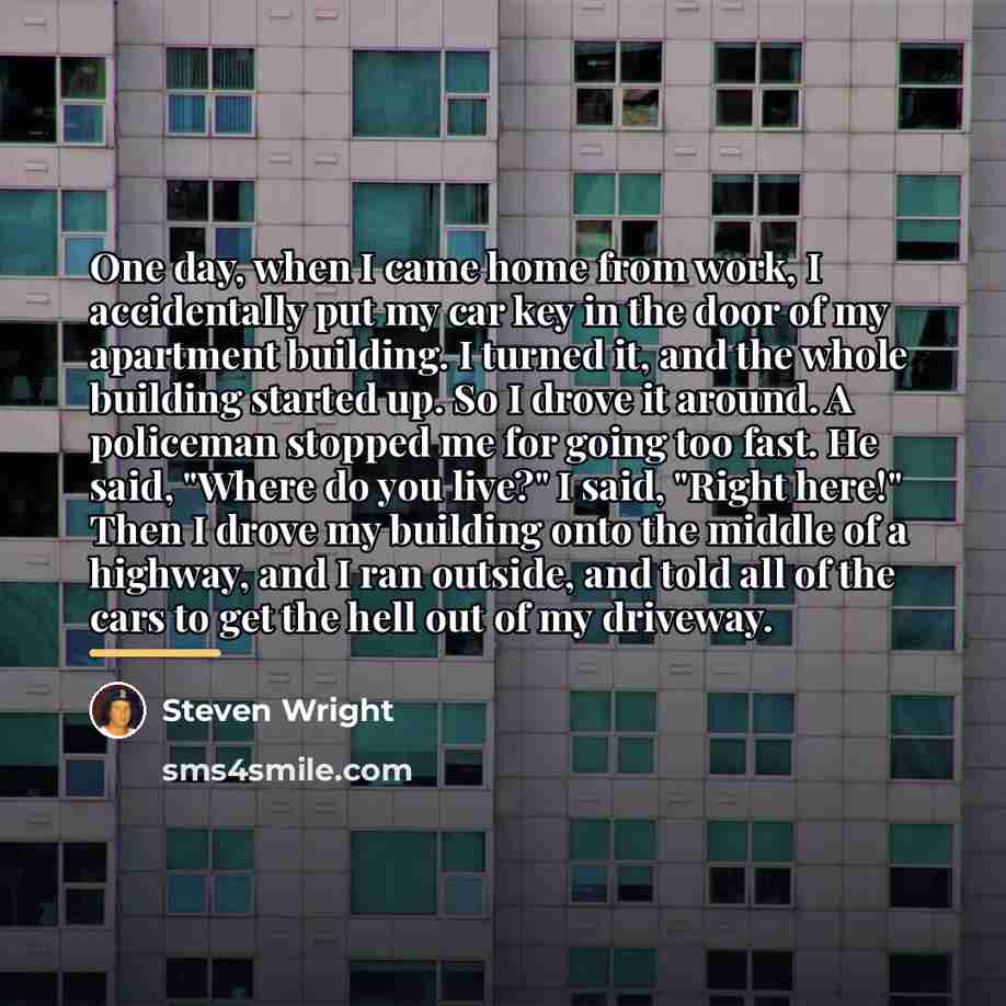 “One day, when I came home from work, I accidentally…” quote by Steven Wright