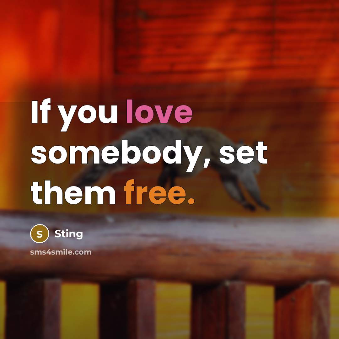 “If you love somebody, set them free.” quote by Sting