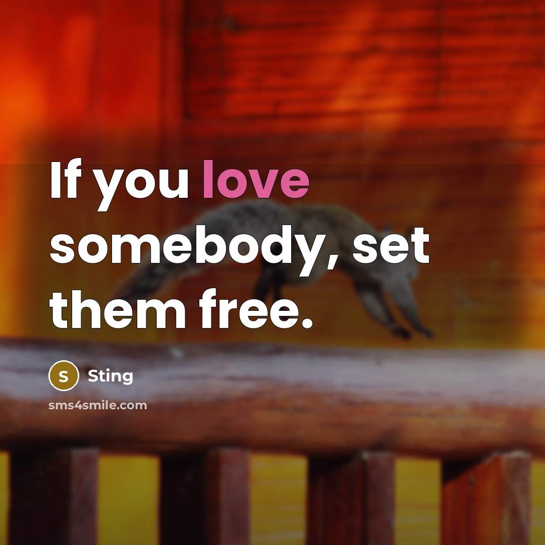 “If you love somebody, set them free.…” quote by Sting
