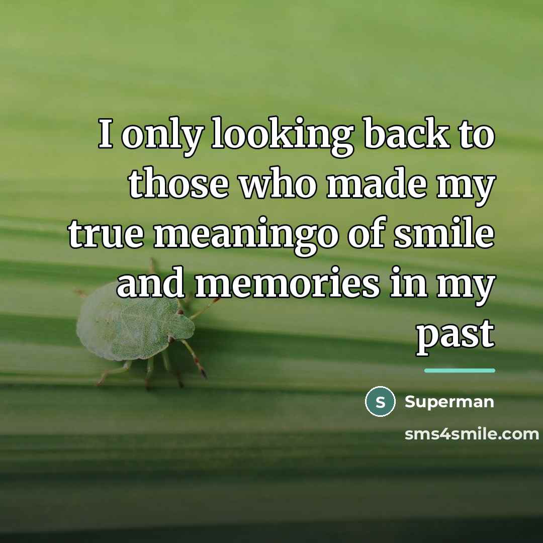 “I only looking back to those who made my true…” quote by Superman