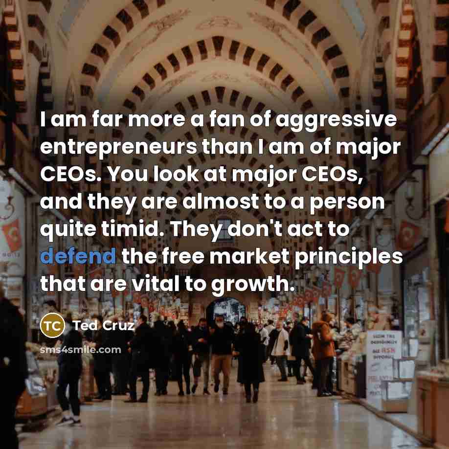 “I am far more a fan of aggressive entrepreneurs than…” quote by Ted Cruz