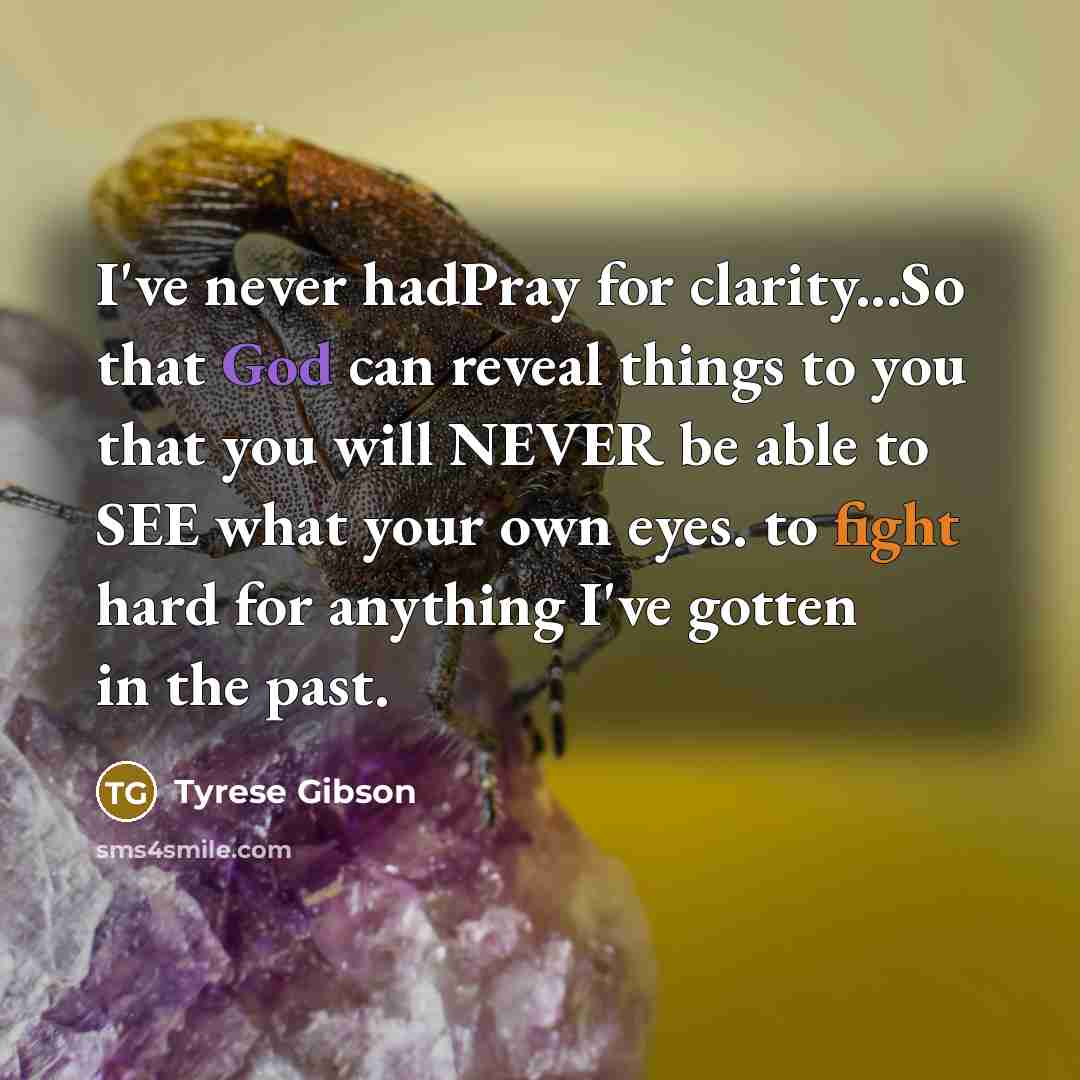 “I've never hadPray for clarity...So that God can reveal things to you that you will NEVER be able to SEE what your own eyes. to fight hard for anything I've gotten in the past.” quote by Tyrese Gibson