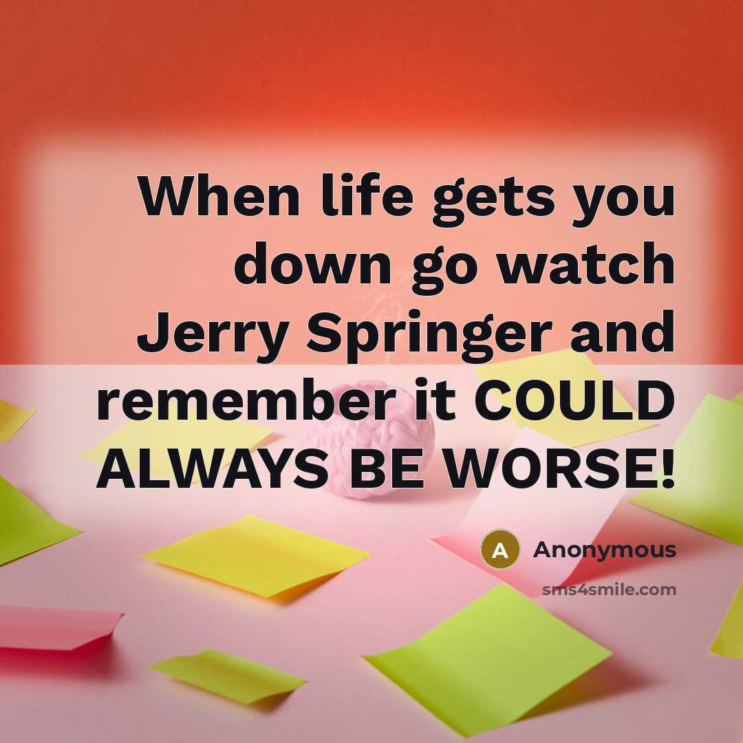 “When life gets you down go watch Jerry Springer and remember it COULD ALWAYS BE WORSE!” quote by Anonymous
