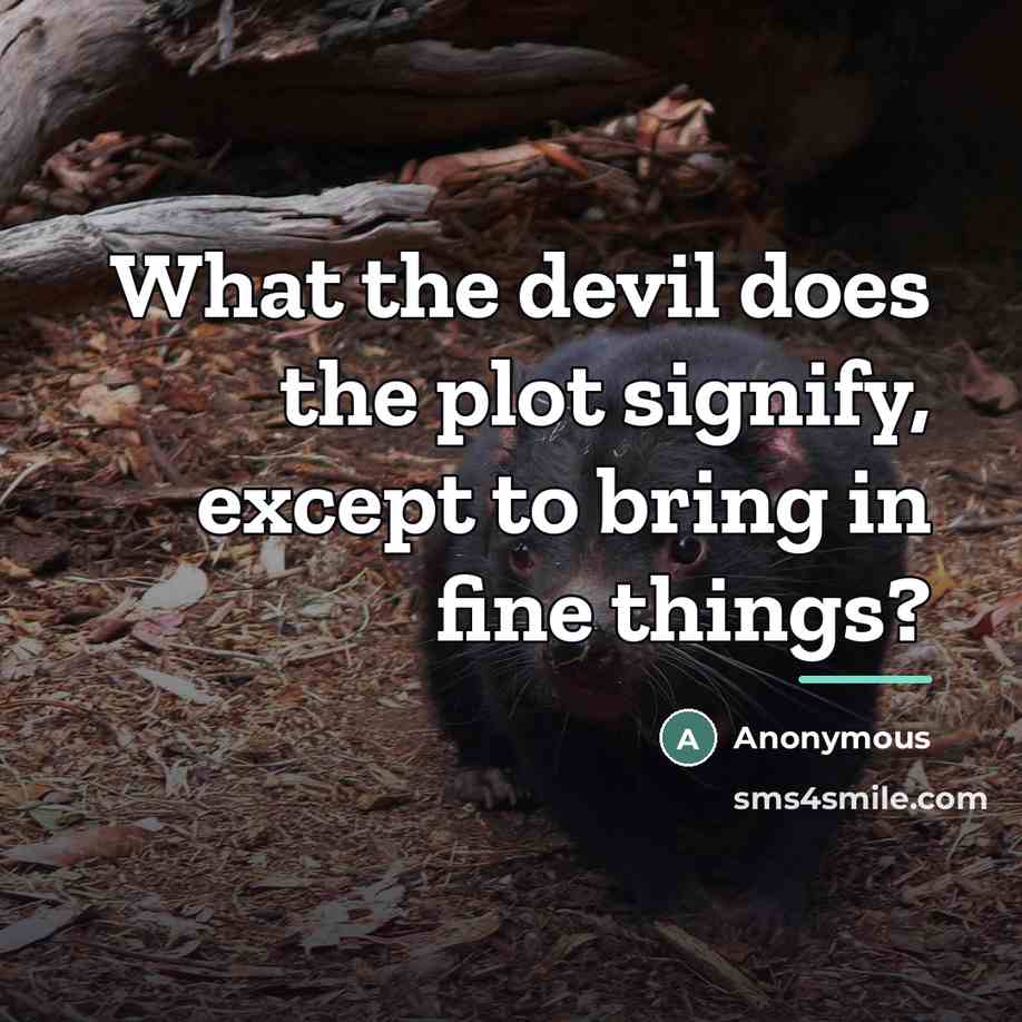 “What the devil does the plot signify, except to bring…” quote by Anonymous