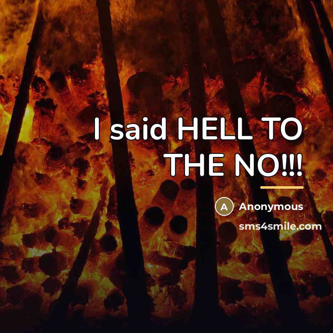 “I said HELL TO THE NO!!!…” quote by Anonymous