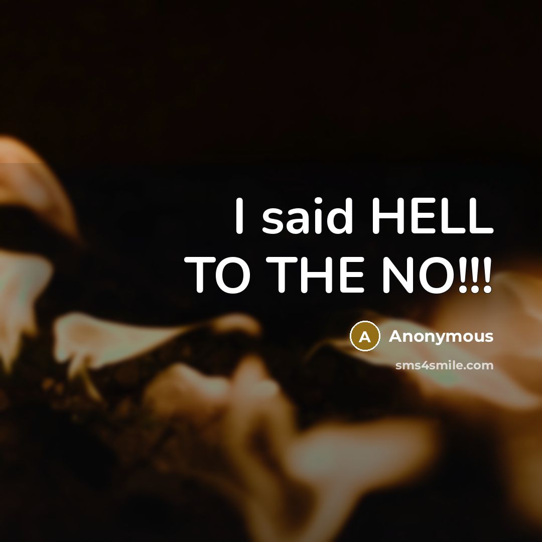 “I said HELL TO THE NO!!!” quote by Anonymous
