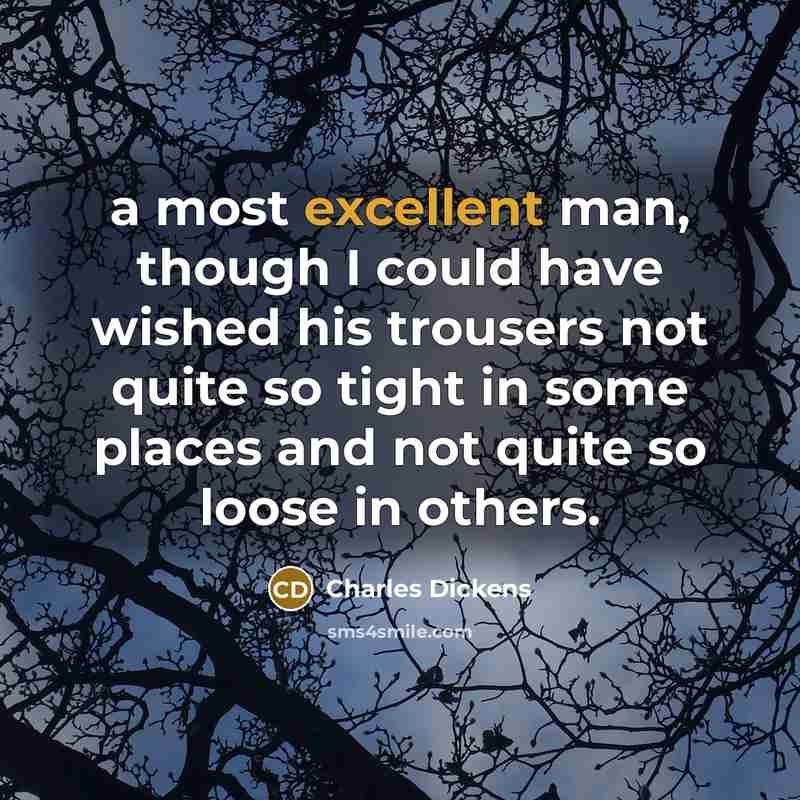“a most excellent man, though I could have wished his…” quote by Charles Dickens