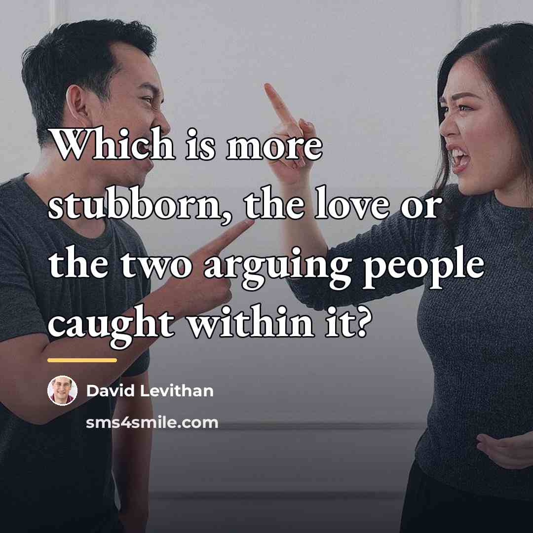 “Which is more stubborn, the love or the two arguing…” quote by David Levithan