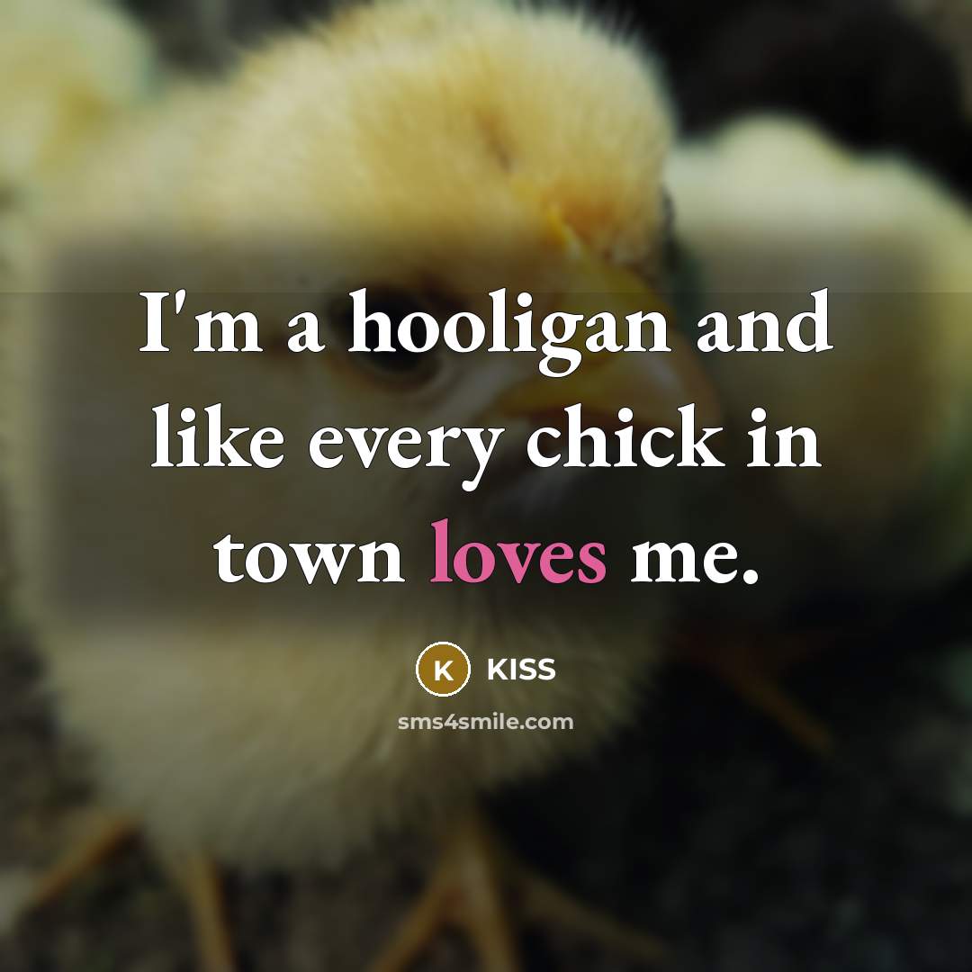 “I'm a hooligan and like every chick in town loves me.” quote by KISS