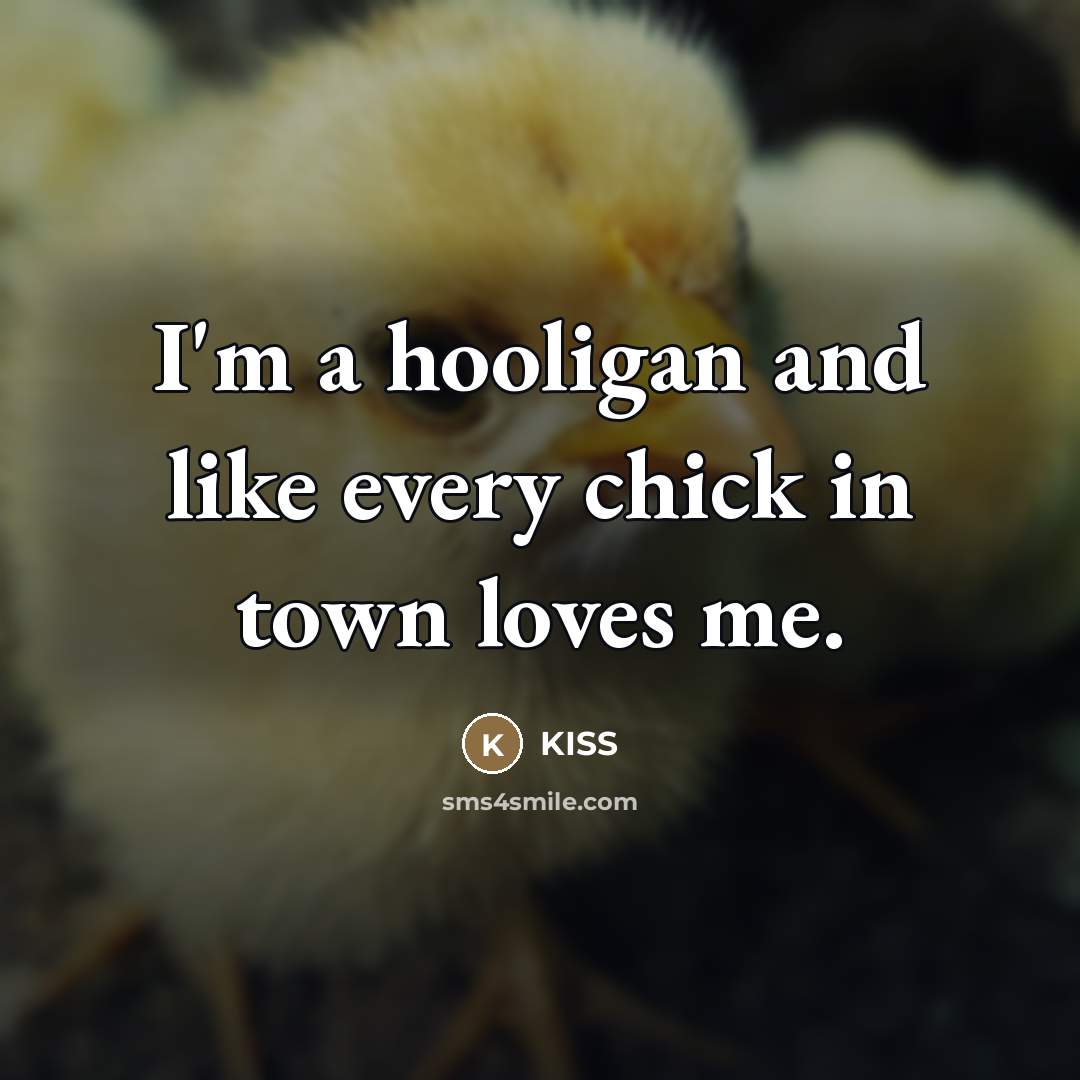 “I'm a hooligan and like every chick in town loves…” quote by KISS