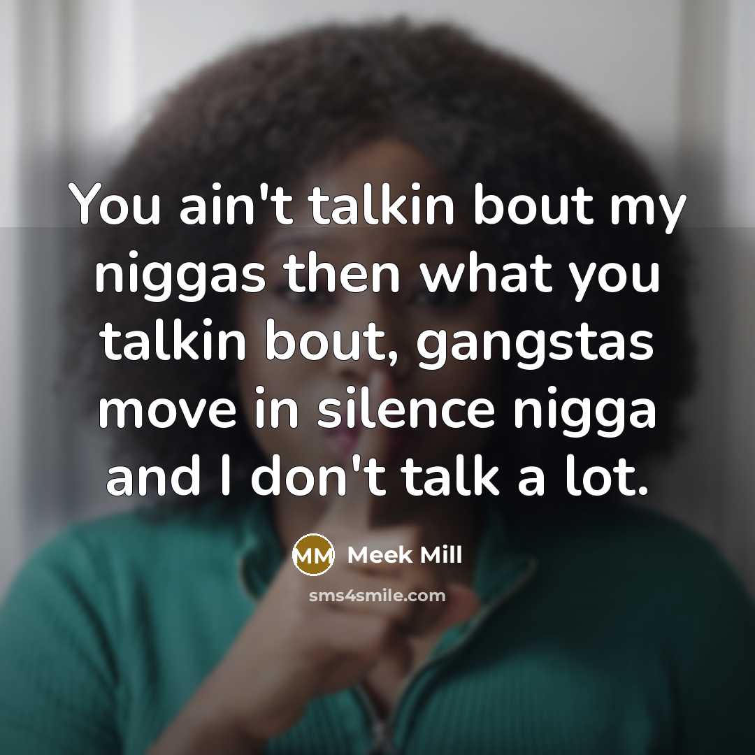 “You ain't talkin bout my niggas then what you talkin…” quote by Meek Mill