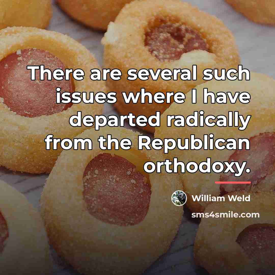 “There are several such issues where I have departed radically…” quote by William Weld