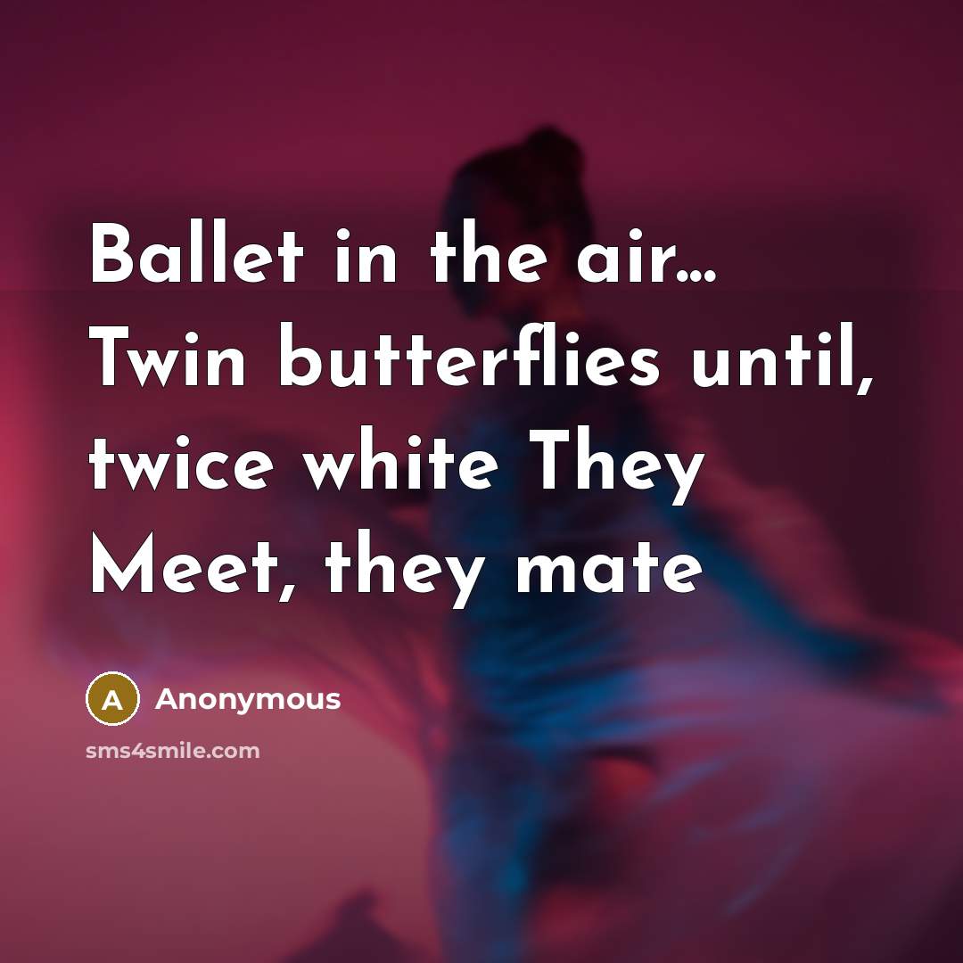 “Ballet in the air... Twin butterflies until, twice white They…” quote by Anonymous