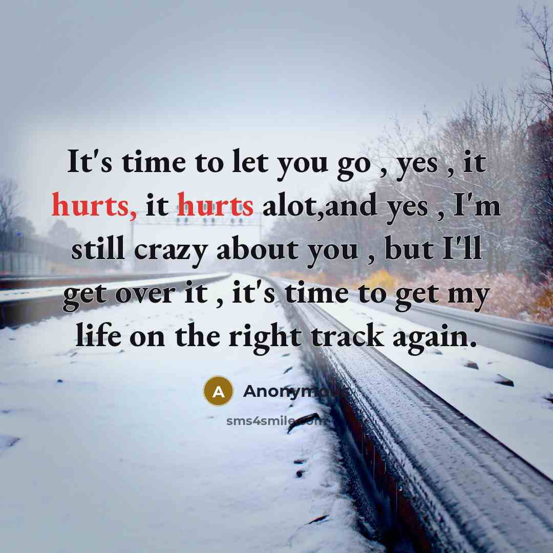 “It's time to let you go , yes , it hurts, it hurts alot,and yes , I'm still crazy about you , but I'll get over it , it's time to get my life on the right track again.” quote by Anonymous