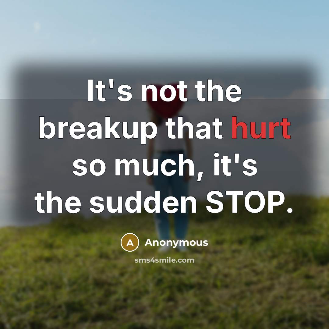 “It's not the breakup that hurt so much, it's the sudden STOP.” quote by Anonymous