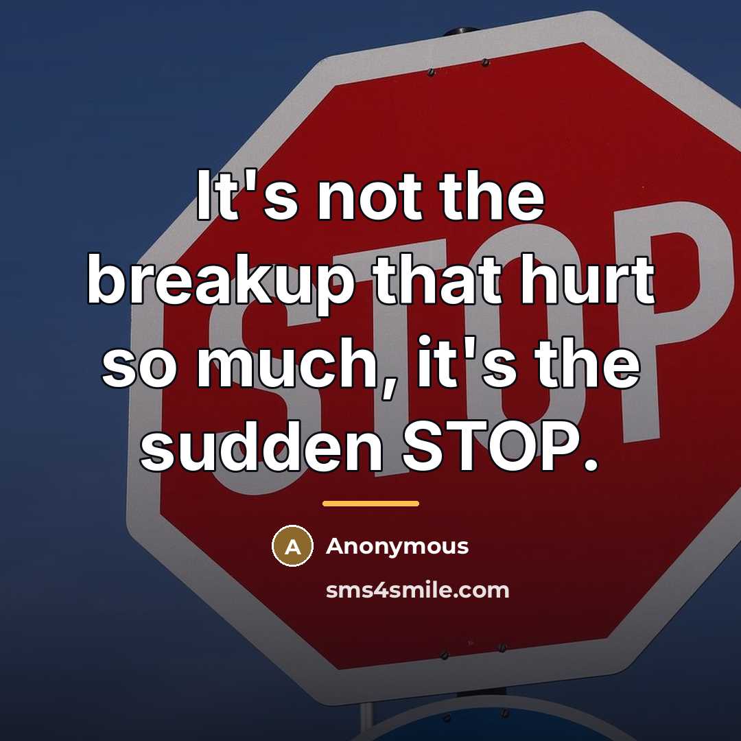 “It's not the breakup that hurt so much, it's the…” quote by Anonymous