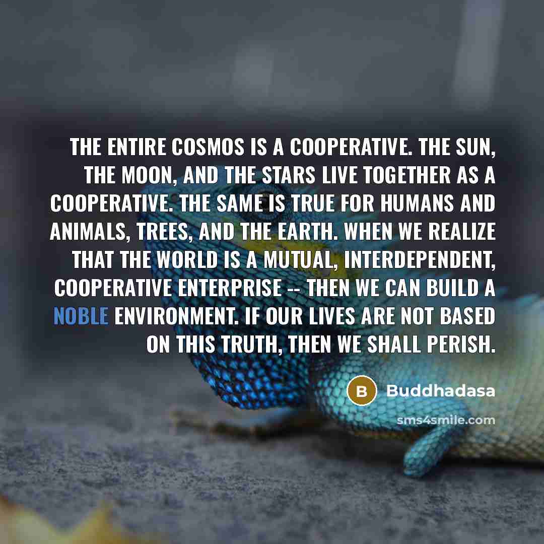 “The entire cosmos is a cooperative. The sun, the moon,…” quote by Buddhadasa