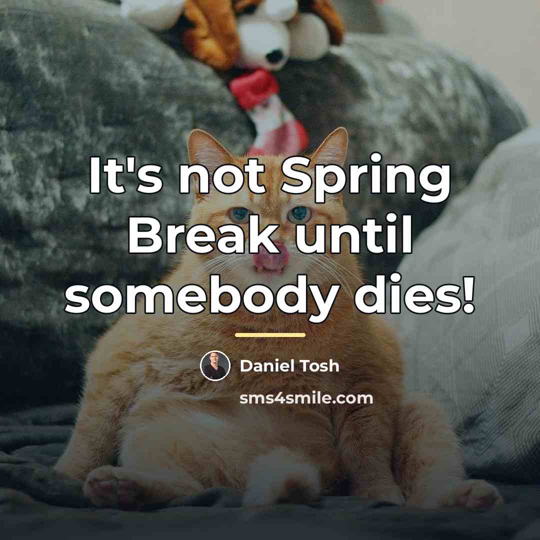 “It's not Spring Break until somebody dies!…” quote by Daniel Tosh
