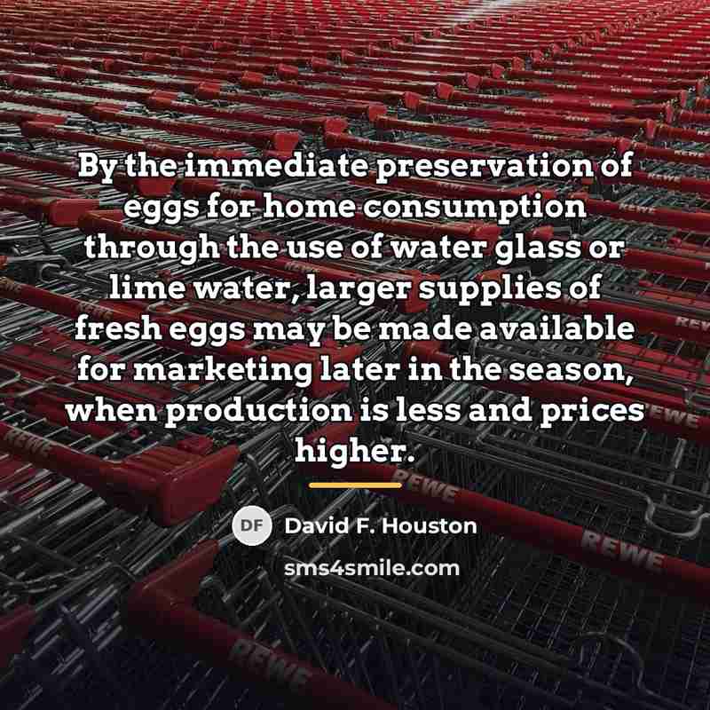 “By the immediate preservation of eggs for home consumption through…” quote by David F. Houston