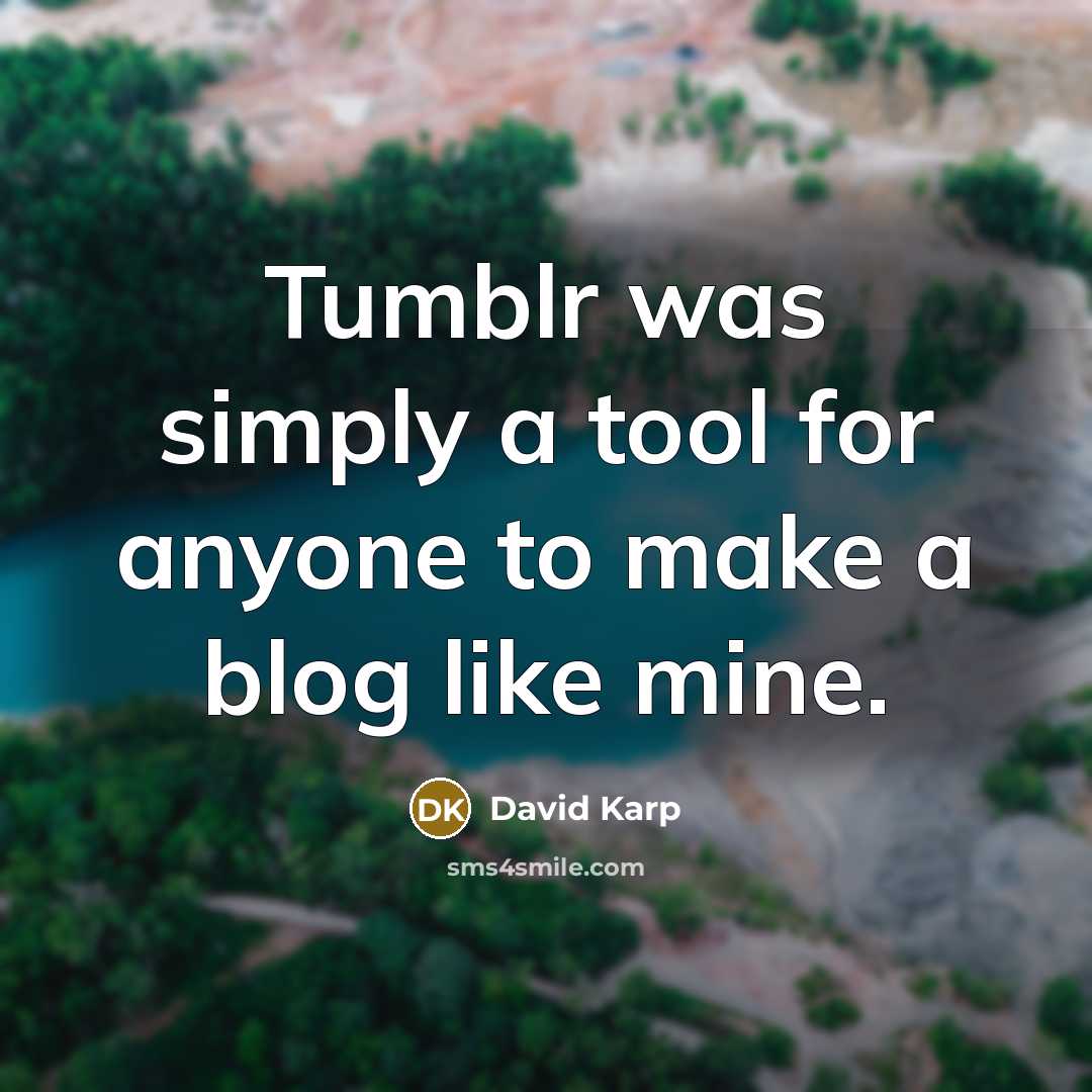 “Tumblr was simply a tool for anyone to make a…” quote by David Karp