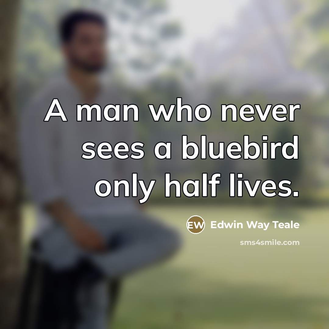 “A man who never sees a bluebird only half lives.…” quote by Edwin Way Teale