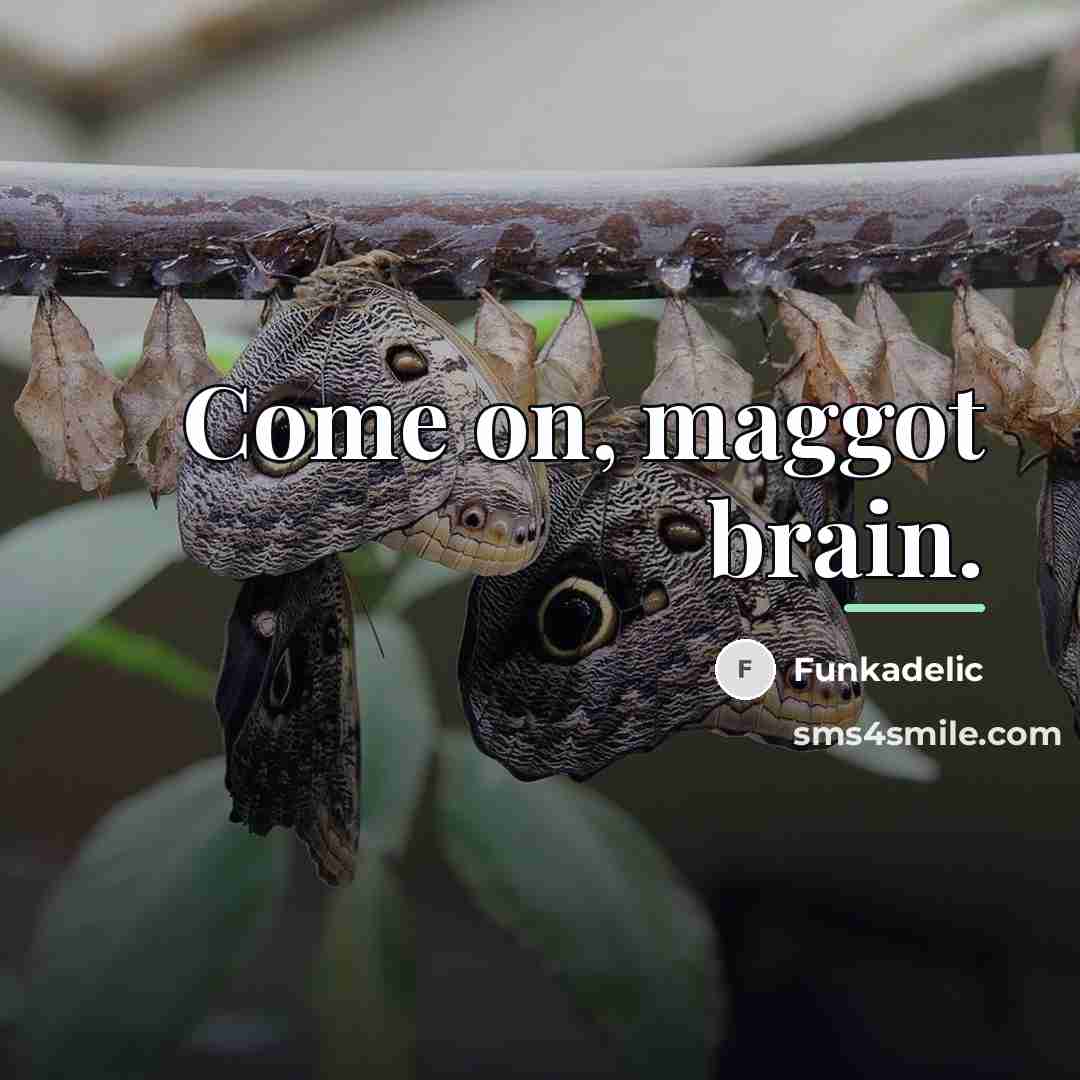 “Come on, maggot brain.…” quote by Funkadelic