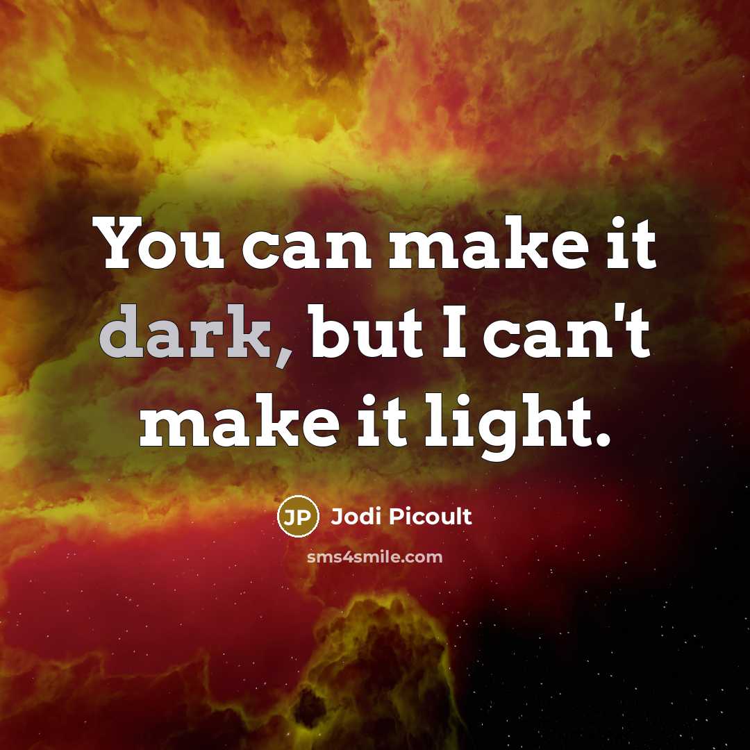 “You can make it dark, but I can't make it…” quote by Jodi Picoult