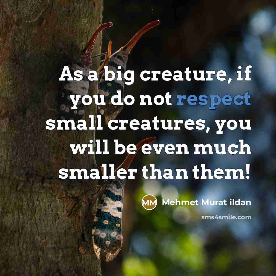 “As a big creature, if you do not respect small…” quote by Mehmet Murat Ildan