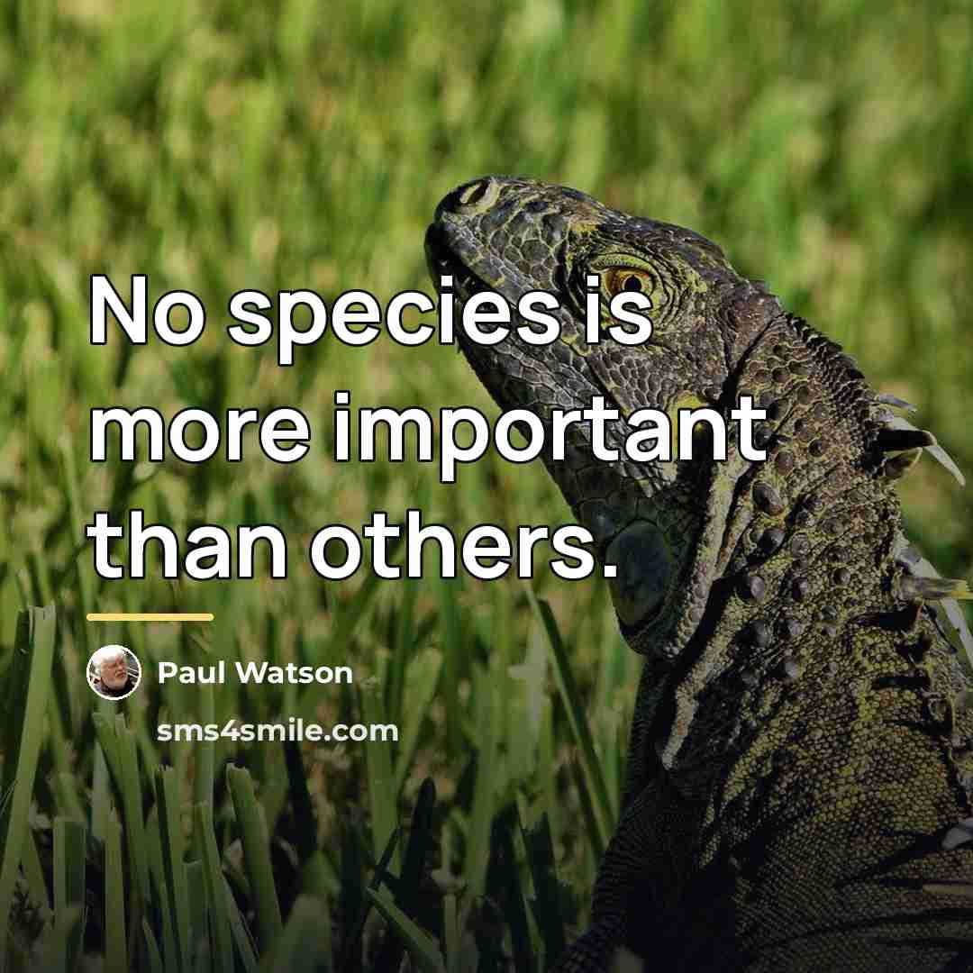 “No species is more important than others.…” quote by Paul Watson