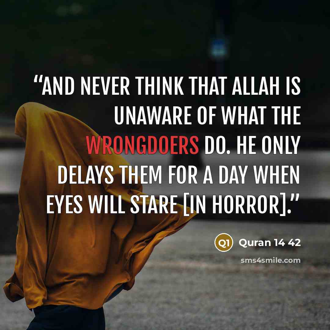 “And never think that Allah is unaware of what the wrongdoers do. He only delays them for a Day when eyes will stare [in horror].” quote by Quran 14 42