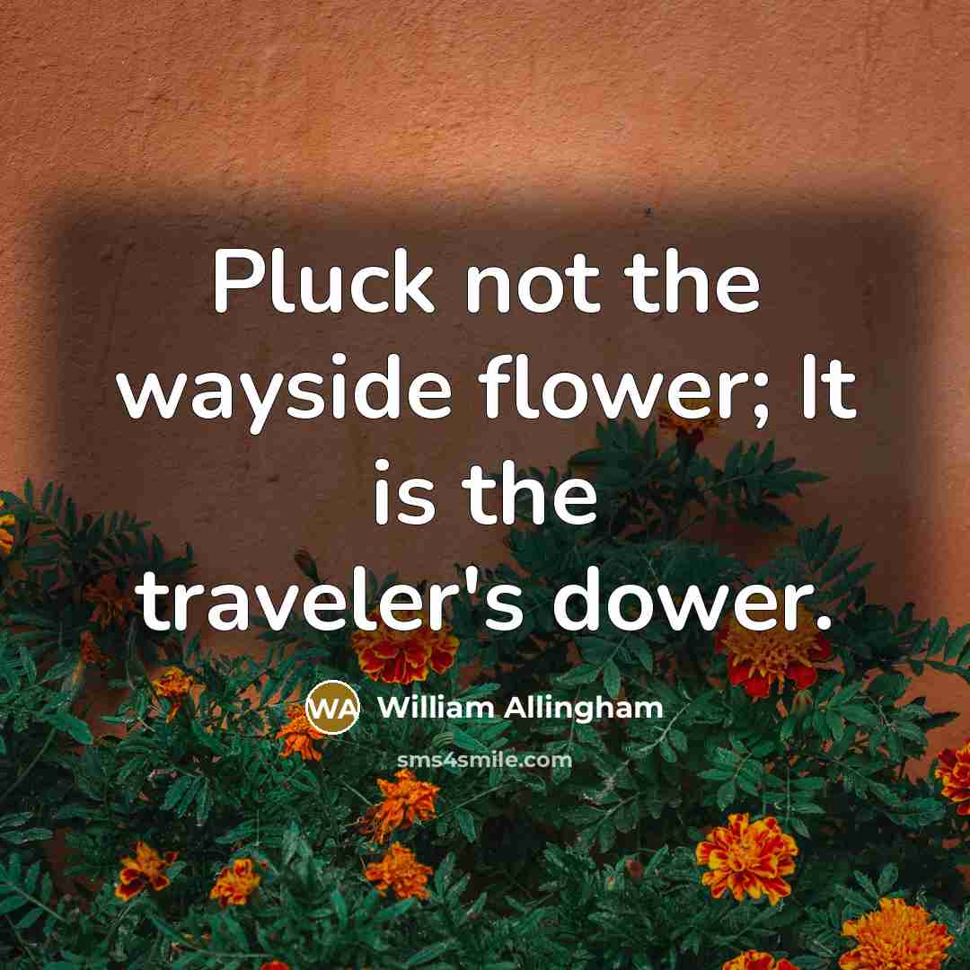 “Pluck not the wayside flower; It is the traveler's dower.…” quote by William Allingham