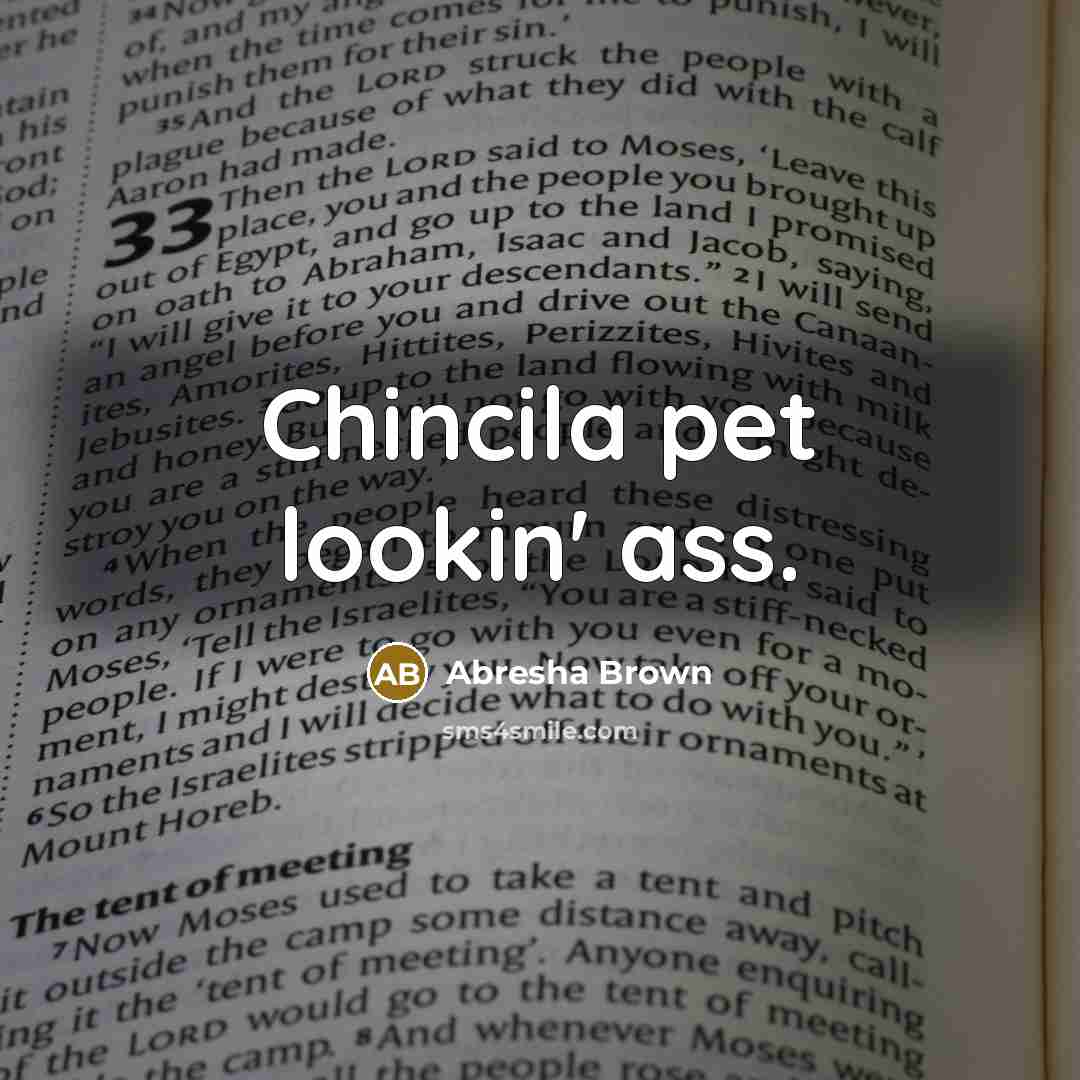 “Chincila pet lookin' ass.…” quote by Abresha Brown