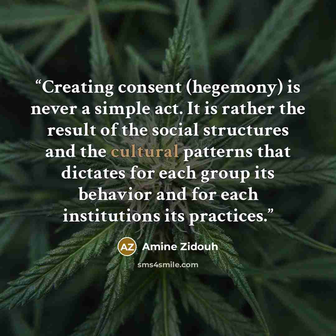 “Creating consent (hegemony) is never a simple act. It is rather the result of the social structures and the cultural patterns that dictates for each group its behavior and for each institutions its practices.” quote by Amine Zidouh