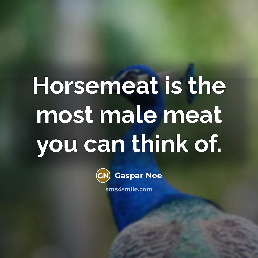 “Horsemeat is the most male meat you can think of.…” quote by Gaspar Noe