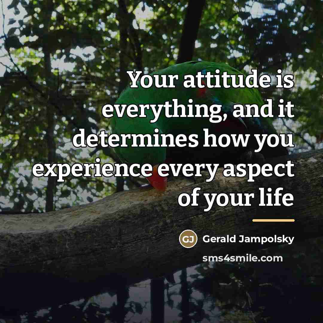 “Your attitude is everything, and it determines how you experience…” quote by Gerald Jampolsky