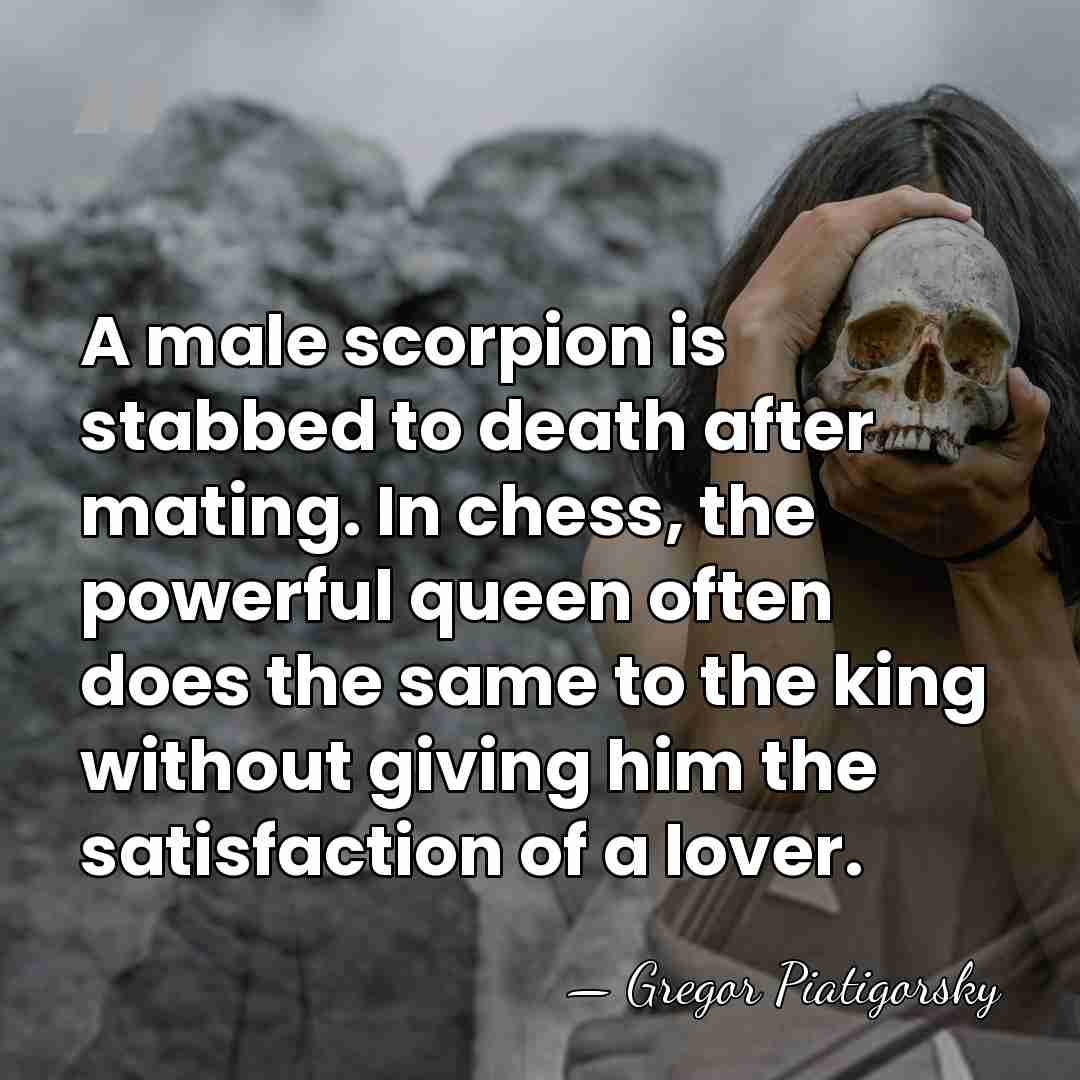 A male scorpion is stabbed to death after mating. In chess, the&hellip; - Gregor Piatigorsky