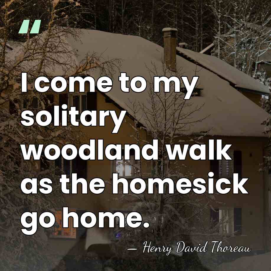 I come to my solitary woodland walk as the homesick go home. - Henry David Thoreau