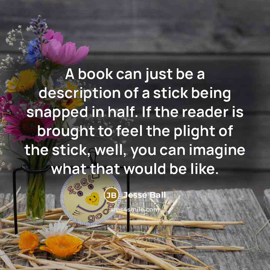 “A book can just be a description of a stick…” quote by Jesse Ball